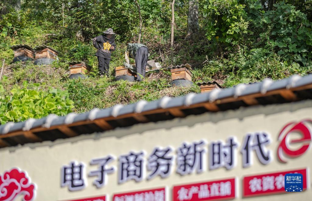 送礼品网站